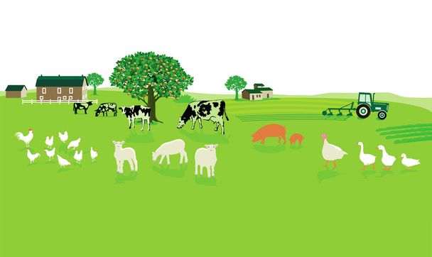 friendly agriculture with farm - Vector, Image