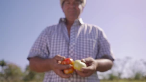 14portrét muže farmář usmívá a ukazující rajčata na fotoaparát - Záběry, video