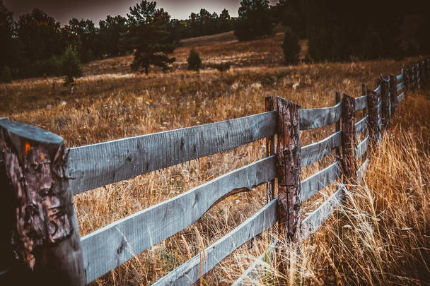 wooden fence on grass under sunny - Photo, Image