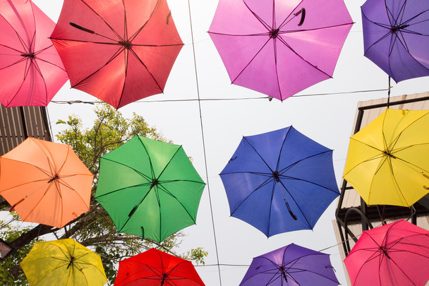 paraguas colorido colgando de la cuerda
 - Foto, Imagen