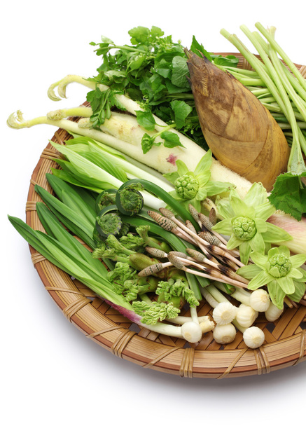 sansai, plantas silvestres comestibles japonesas verduras
 - Foto, imagen