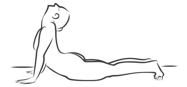 Figura de Bhujangasana Cobra Pose Yoga
 - Vector, imagen