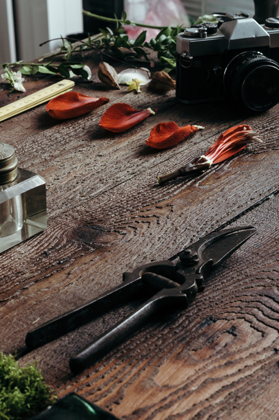 Ingredienti naturali sulla vecchia scrivania in legno
 - Foto, immagini