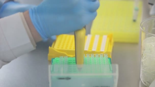 Лабораторія на робочому місці для ДНК-тест - Кадри, відео