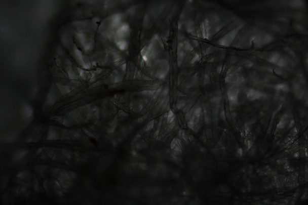 Tkáňová vlákna pod mikroskopem - Fotografie, Obrázek