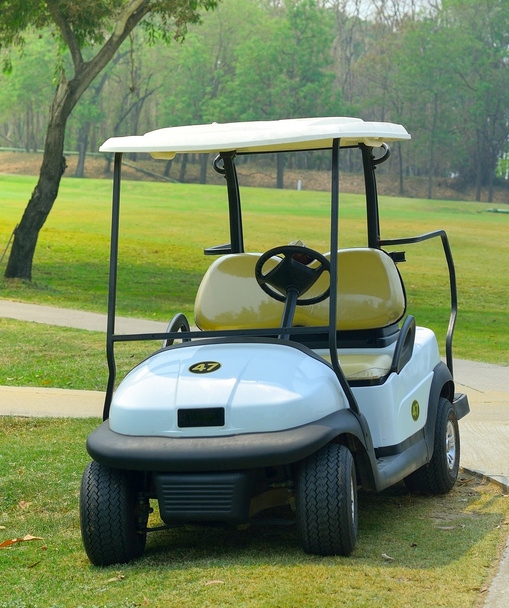Carros de golf en un campo de golf
 - Foto, Imagen
