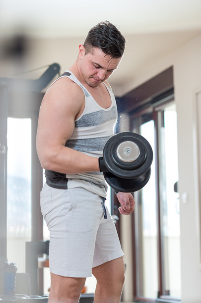 Young Man Working Out Biceps - Dumbbell Concentration Curls - Photo, image
