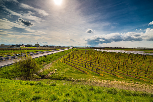 rows of orchards and solar panels - Photo, Image