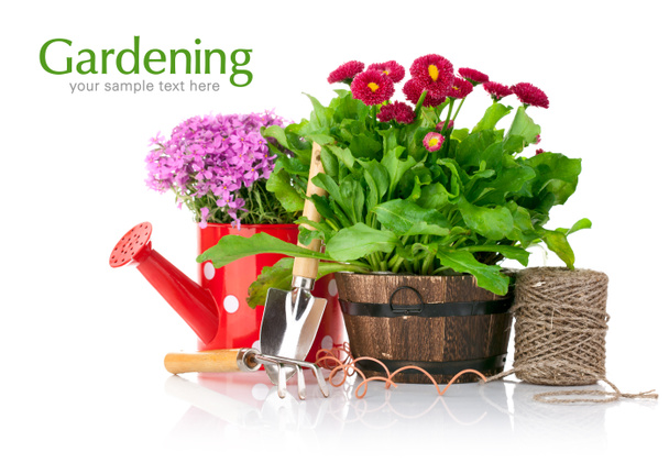 Frühlingsblumen mit Gartengeräten - Foto, Bild