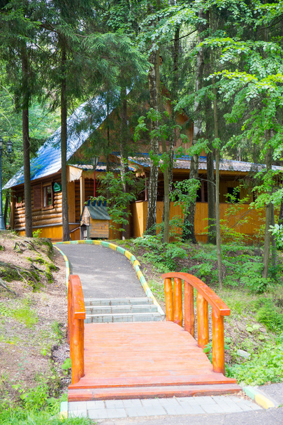 Small wooden bridge in the forest - Φωτογραφία, εικόνα