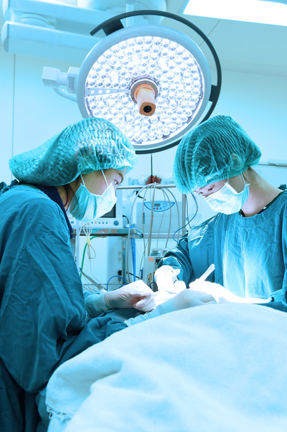 two veterinarian surgeons in operating room - Zdjęcie, obraz