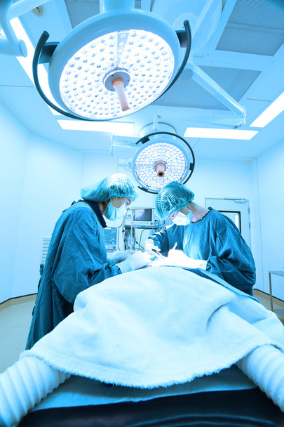 two veterinarian surgeons in operating room - Foto, immagini
