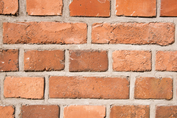 Texture mur de briques en couleur
. - Photo, image