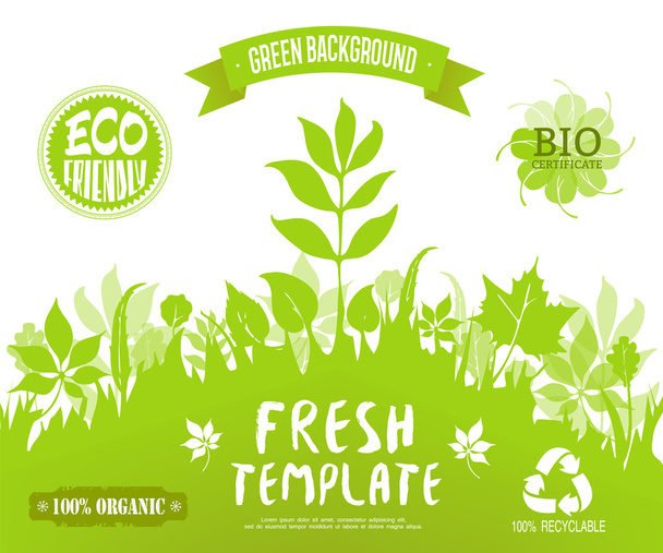 %100 organik, çevre dostu, biyo sertifika, geri dönüştürülebilir etiketler. Yeşil orman siluet arka plan. Vektör afiş, broşür veya web sayfası şablonu. Yeşil ve taze arka plan - Vektör, Görsel