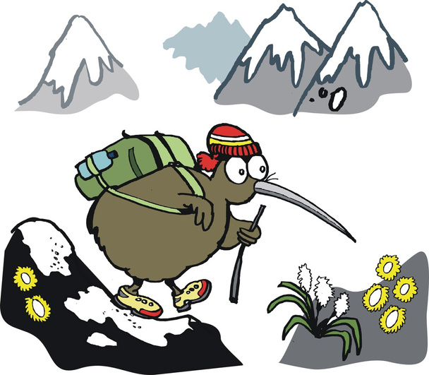 kiwi bird hiking in mountains - Vector, Image