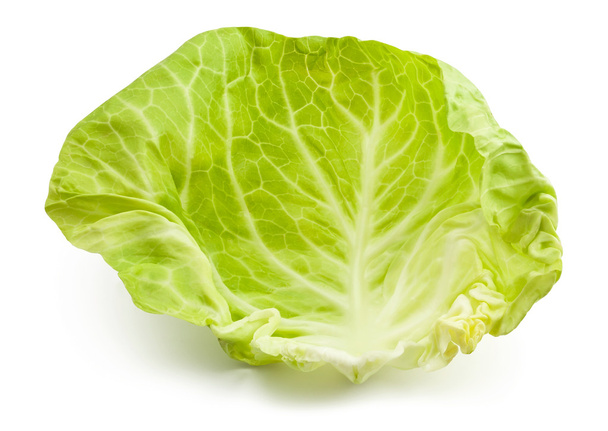 Cabbage leaf - Fotoğraf, Görsel