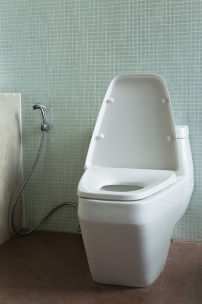 toaletní interiéru moderní domov - Fotografie, Obrázek