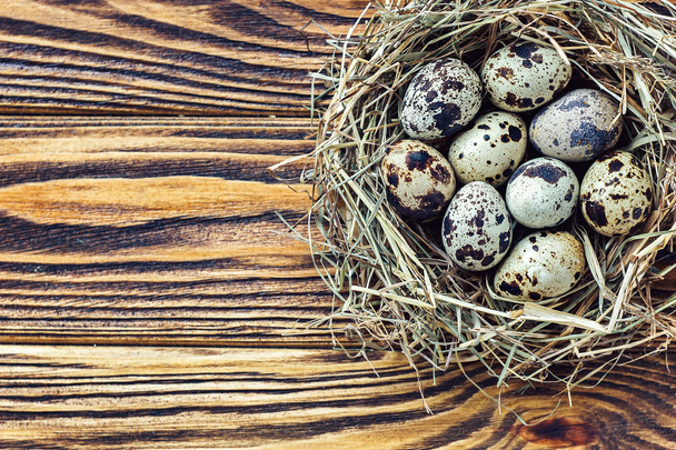 Húsvéti tojások a fészekben, rusztikus fa háttérrel, másolási hellyel. Felülnézet. - Fotó, kép