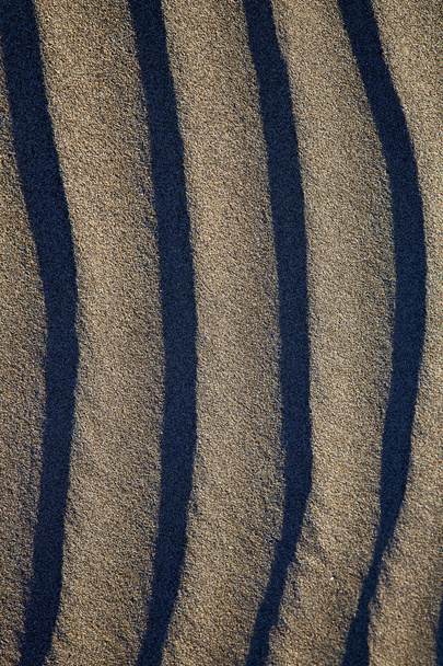 ランサローテ島乾燥砂のビーチ  - 写真・画像