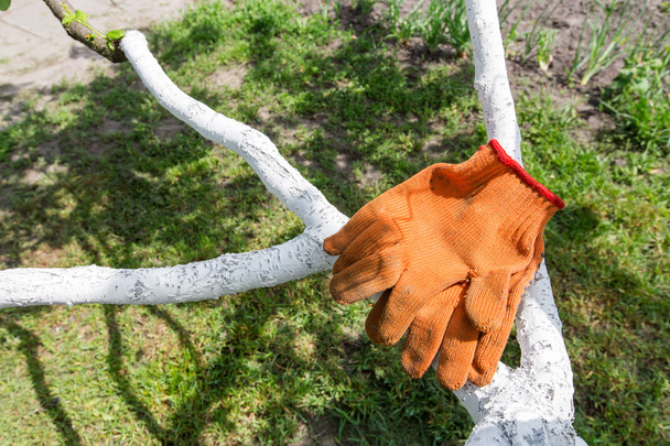 garden orange gloves - Фото, изображение