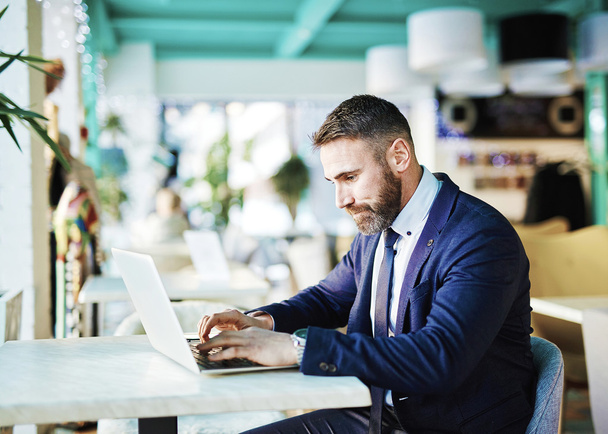 businessman networking on laptop - Фото, изображение