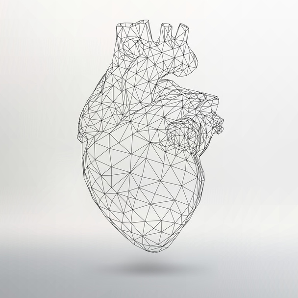 Concept créatif Contexte du cœur humain. Illustration vectorielle eps 10 pour votre design
. - Vecteur, image