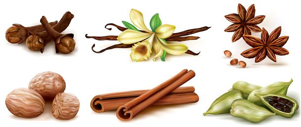 Different spices set - Vector, Image