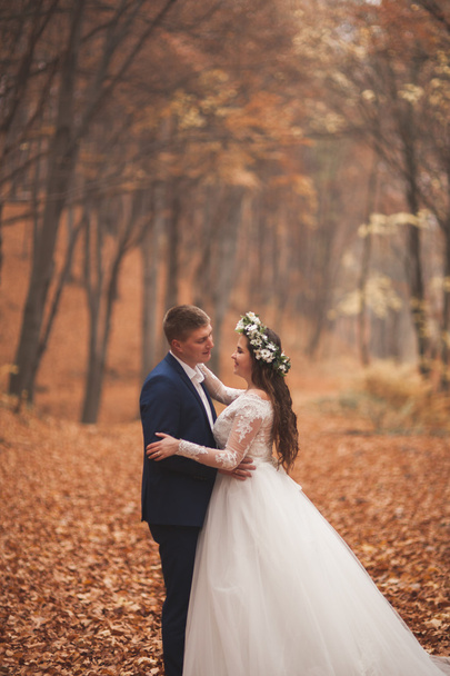 Gelukkig bruidspaar, bruid en bruidegom lopen in de herfst bos, park - Foto, afbeelding