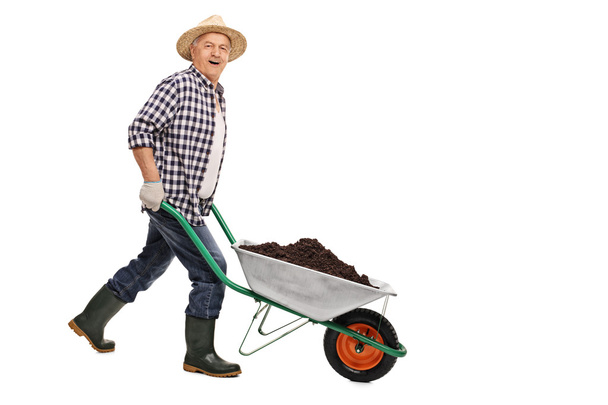 Mature gardener pushing a wheelbarrow with dirt  - Fotó, kép