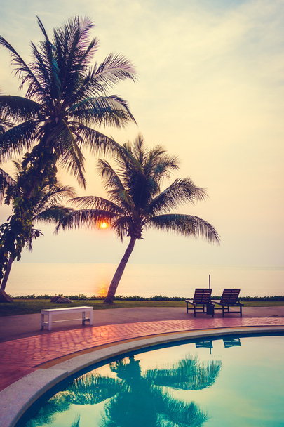 Silhouetten van kokosnoot palmen - Foto, afbeelding