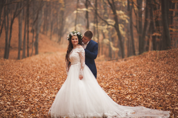 Happy wedding couple, bride and groom walking in the autumn forest, park - Φωτογραφία, εικόνα