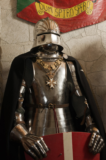 Középkori lovag - keresztes - Fotó, kép