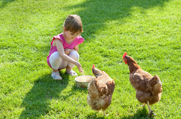 Chica y pollos
 - Foto, imagen