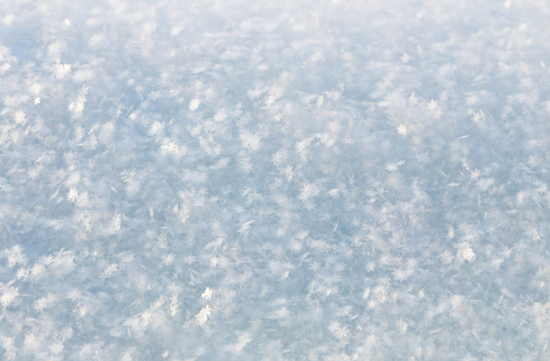 fresh white snow background - Photo, Image