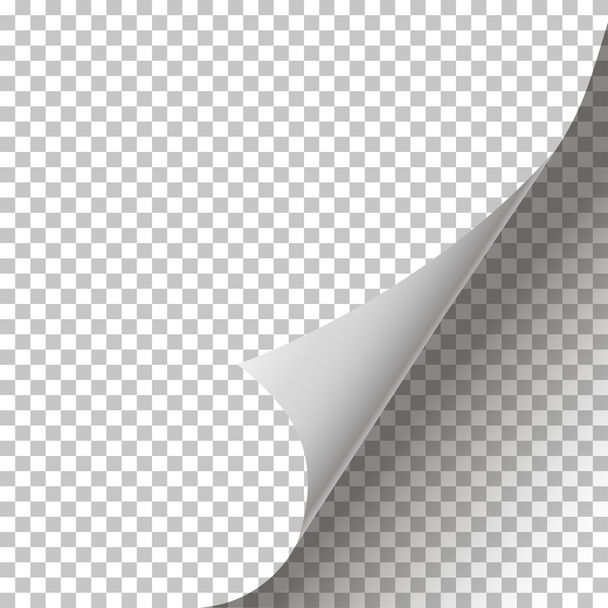 Rincón de página rizado aislado fondo elegante diseño
 - Vector, imagen