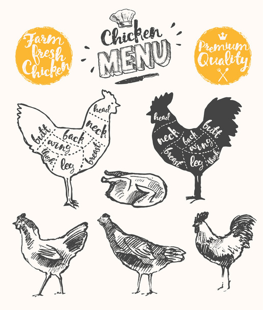 Mięso kurczaka system menu kawałki ciągnione wektor - Wektor, obraz