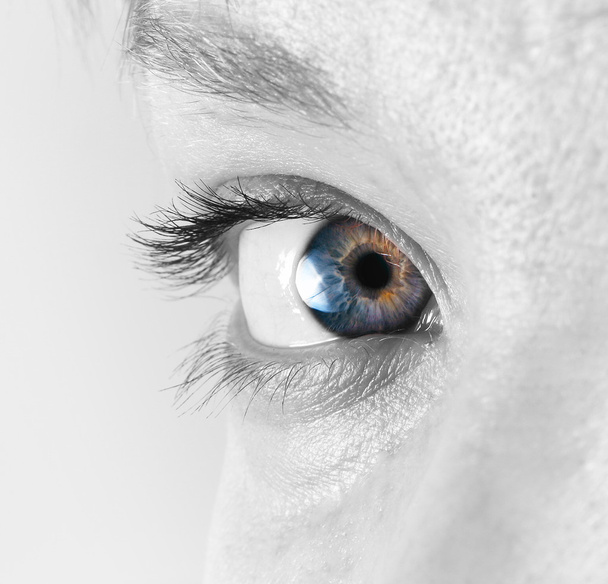 Крупный план красивого женского глаза
 - Фото, изображение
