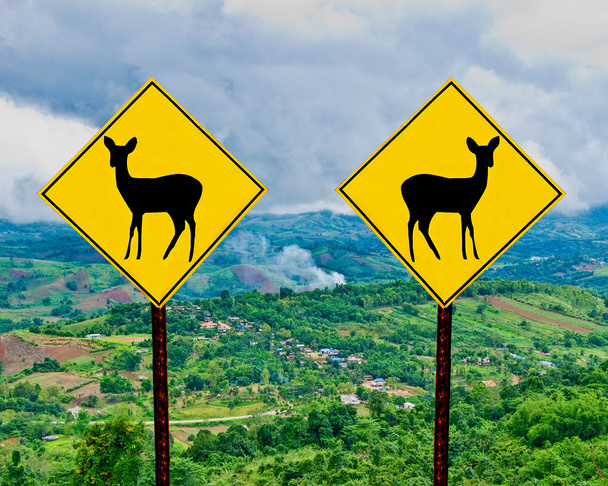 The Signpost of deer on mountain view background - Zdjęcie, obraz