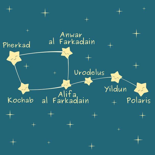schattige cartoon kleine Dipper sterrenbeeld met de naam van de sterren vector illustratie - Vector, afbeelding