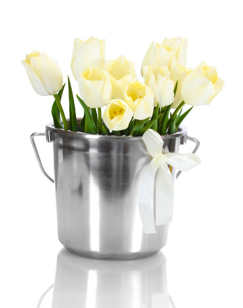 Beautiful tulips in bucket isolated on white - Фото, зображення