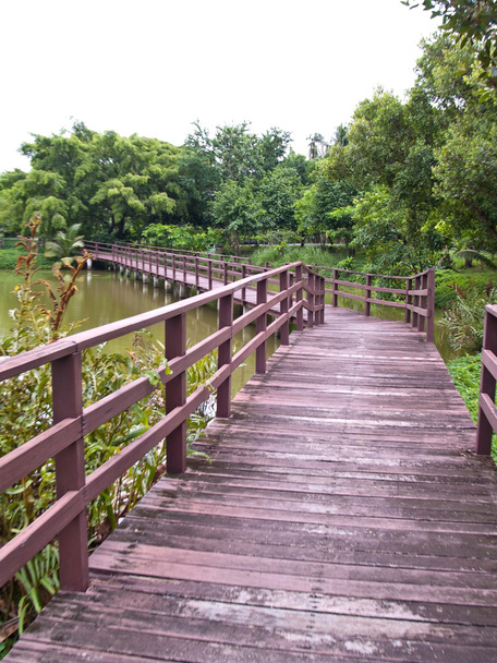 Wooden bridge - Photo, Image