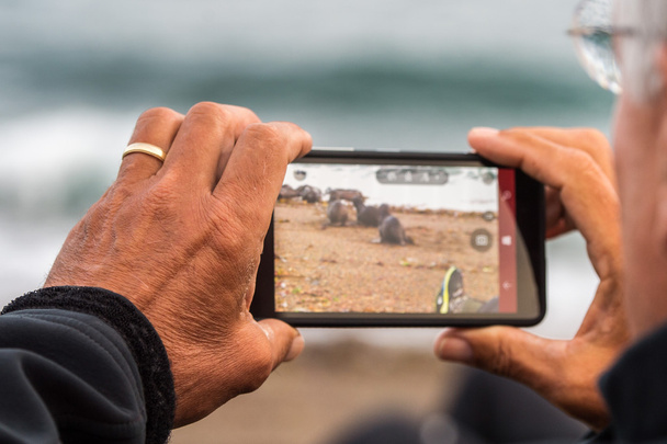 photographer taking picture of sea lion - Valokuva, kuva