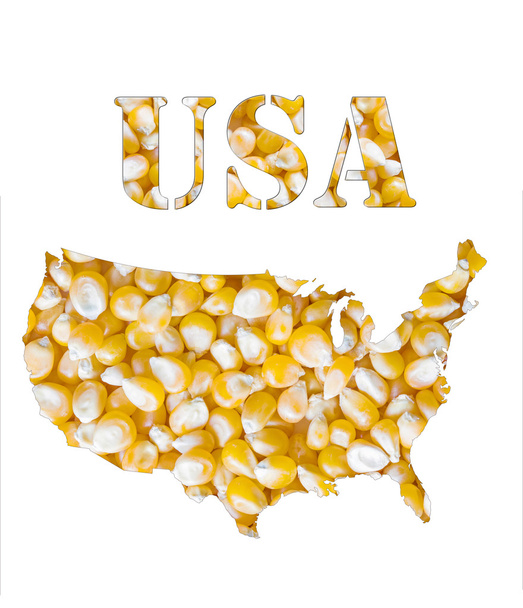 Una textura de semillas de maíz amarillo con la forma de la palabra USA y el contorno del mapa geográfico del país. Imagen aislada sobre fondo blanco
. - Foto, imagen