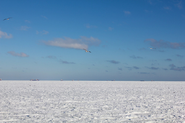 Icy sea - a rare phenomenon. - Photo, Image