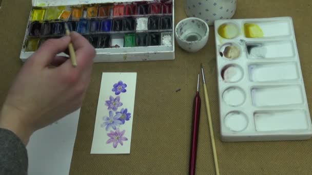 Η διαδικασία της ζωγραφικής hepatica λουλούδια - Πλάνα, βίντεο