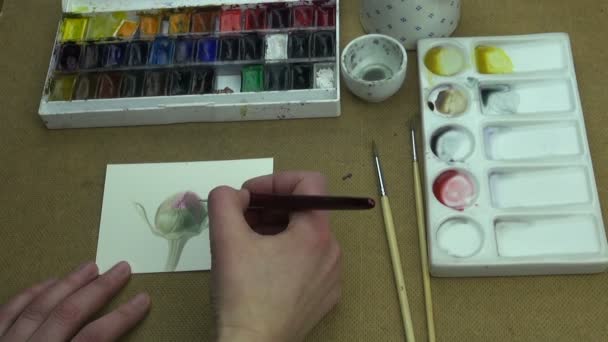 Proces malowania piwonia pąk - Materiał filmowy, wideo