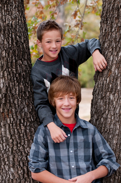 屋外の木に 2 人の兄弟 - 写真・画像