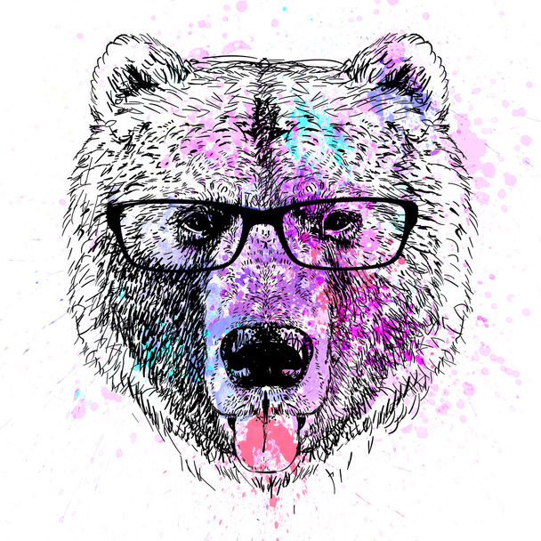medvědí charakter barevný portrét - Fotografie, Obrázek
