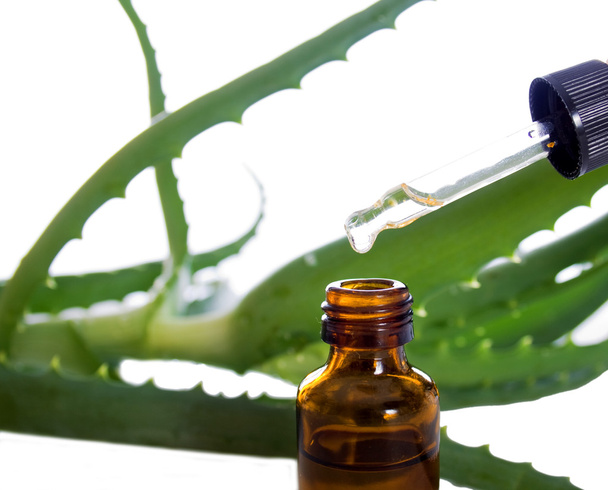 Botella de aceite esencial con planta - tratamiento de belleza
 - Foto, Imagen