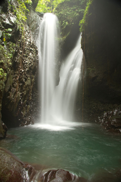バリ島 gitgit の滝 - 写真・画像